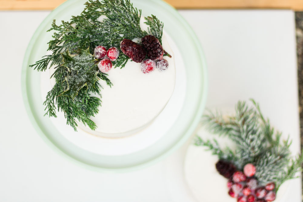 how to sugar cranberries and branches
